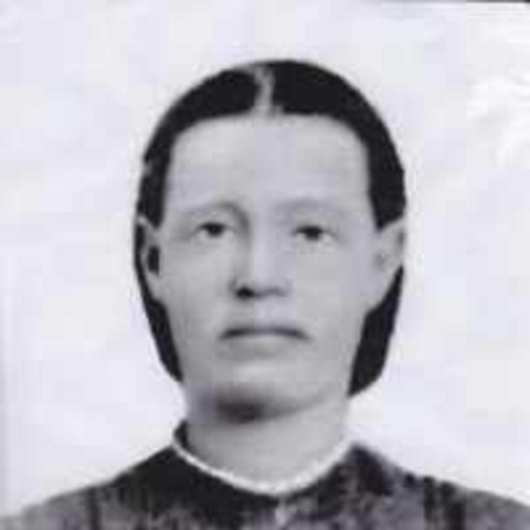 Maary May Smith (1836 - 1894) Profile